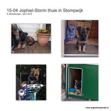 Storm thuis in Stompwijk